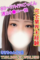 �V�ڐ΂���